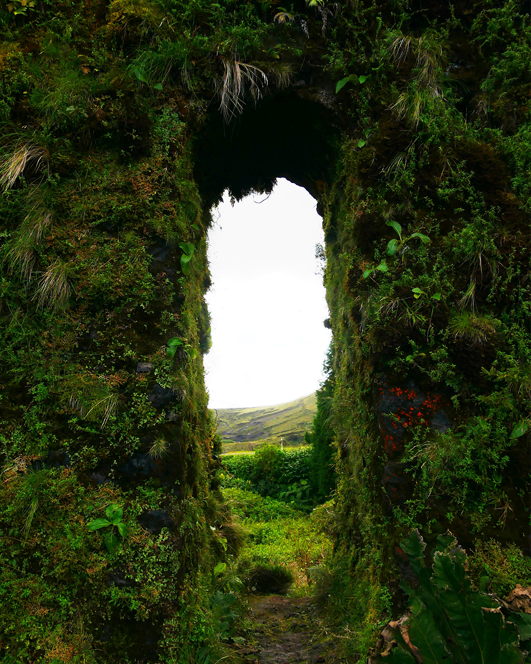 fraga-naturen-om-rad-8.jpg