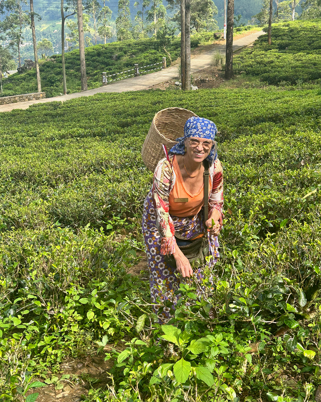 Lena-Sri-Lanka-3.jpg