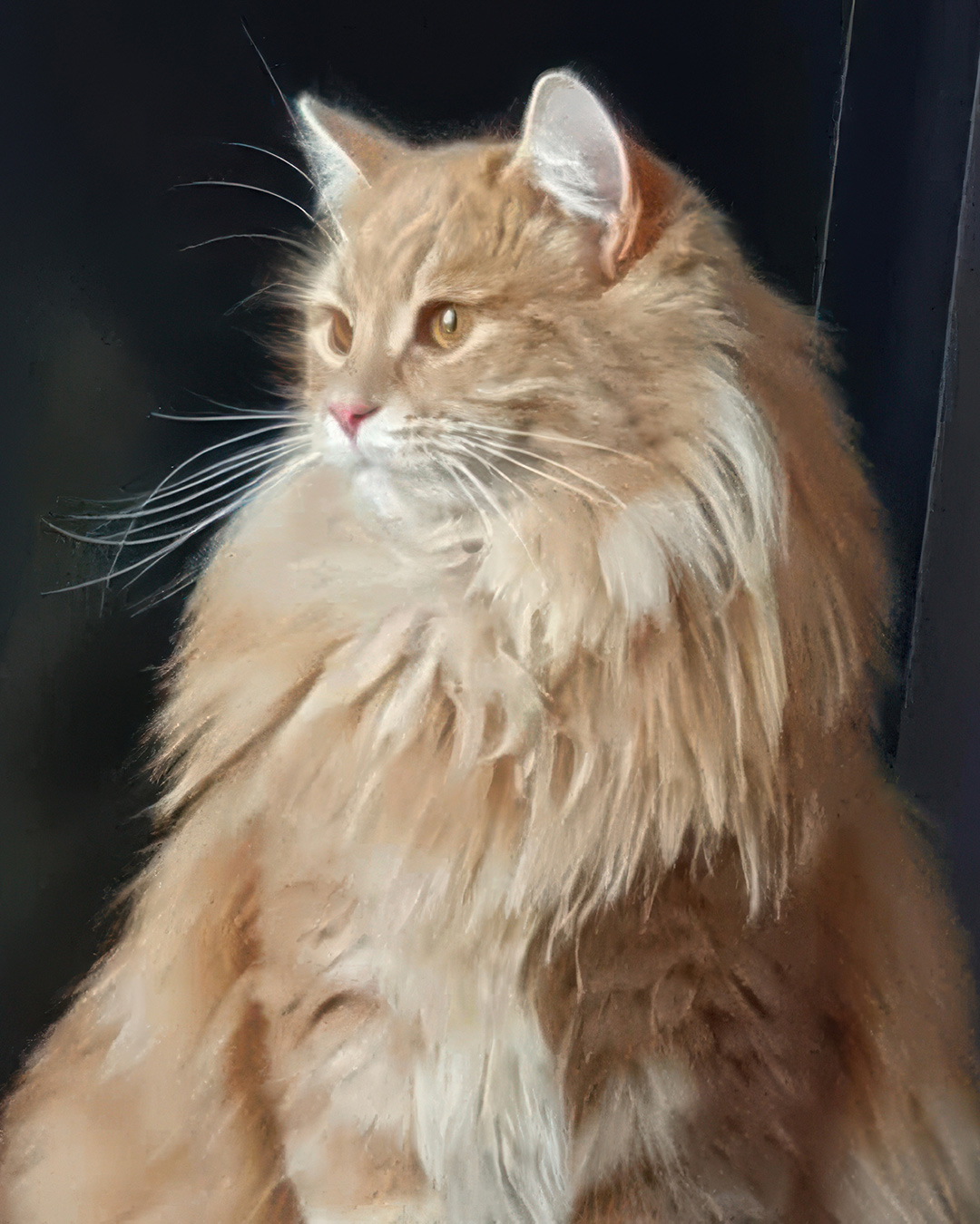 Fias-katt.jpg